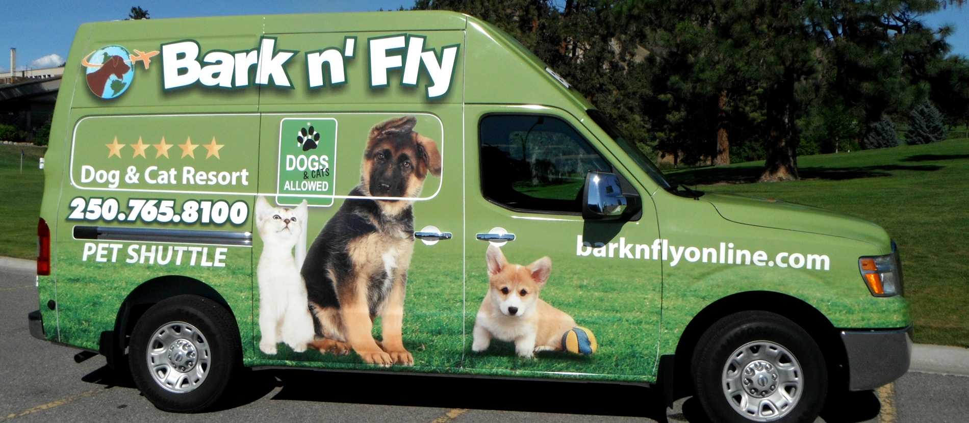 Pet shuttle hot sale